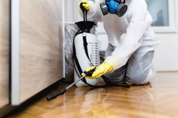 Best Mosquito Control Services  in Ke Providence, LA
