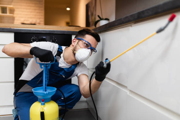 Best Pest Control for Restaurants  in Ke Providence, LA
