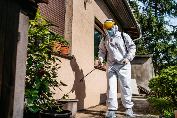Best Flea Control Services  in Ke Providence, LA