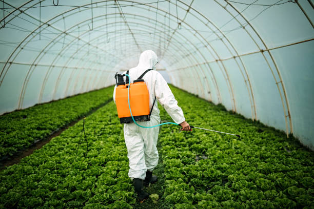 Best Affordable Pest Control Services  in Ke Providence, LA