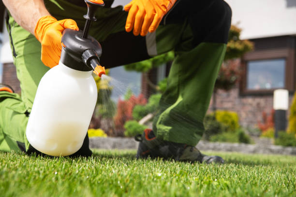 Best Best Pest Control Companies  in Ke Providence, LA