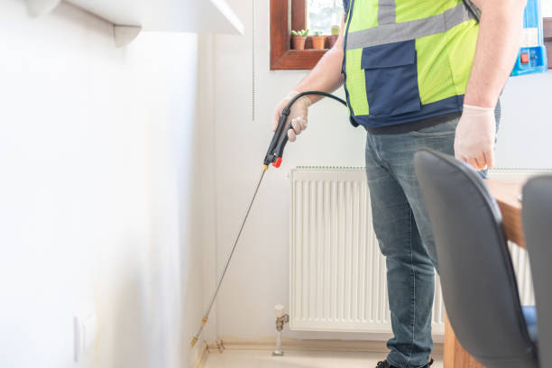 Best Residential Pest Control  in Ke Providence, LA