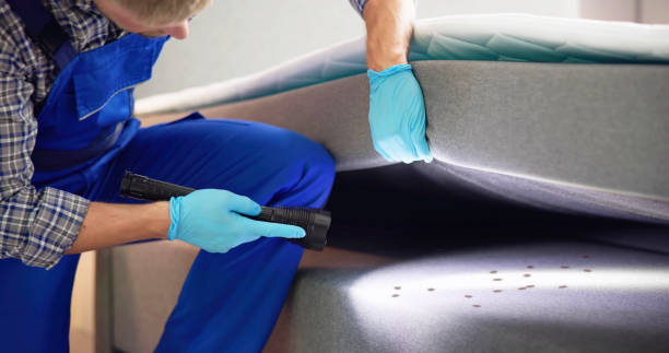 Best Rat Extermination Near Me  in Ke Providence, LA