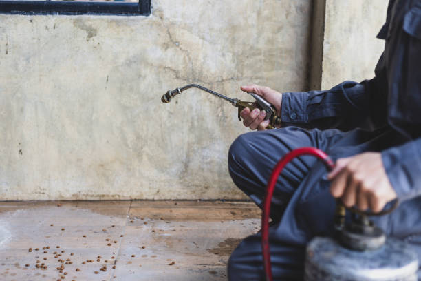 Best Pest Control Near Me  in Ke Providence, LA